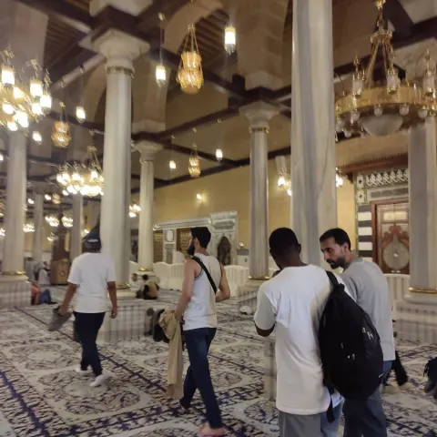 Study in Cairo