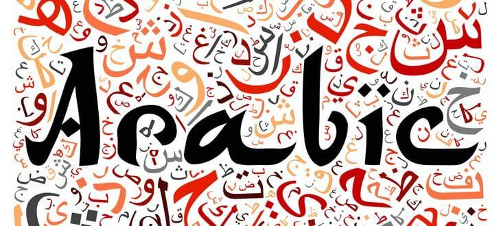learnovate language arabic basic