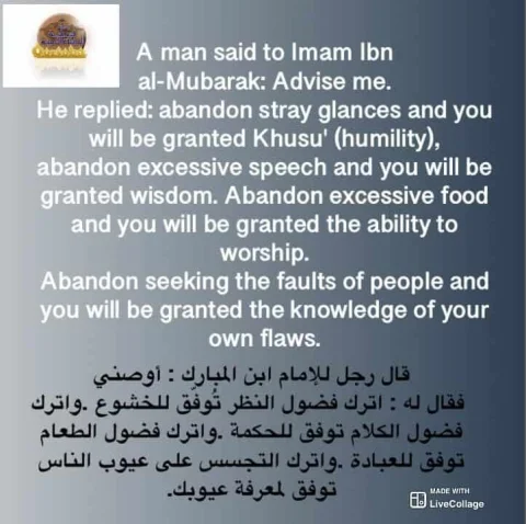 Advise Me