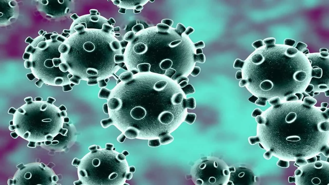 Corona Viruses
