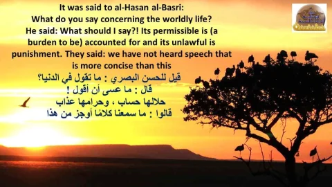 What do you say concerning the world life