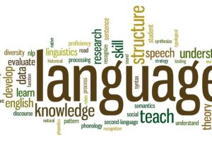 the-importance-of-language-in-modern-life
